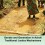 Gender and Generation in Acholi Traditional Justice Mechanisms – FN XVII
